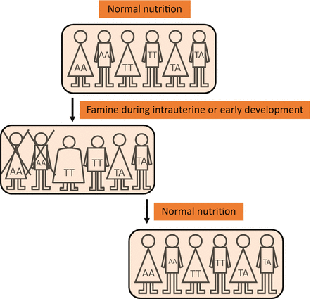 barker meaning in hindi