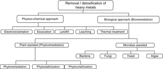 Biological Approaches For Remediation Of Metal Contaminated - 