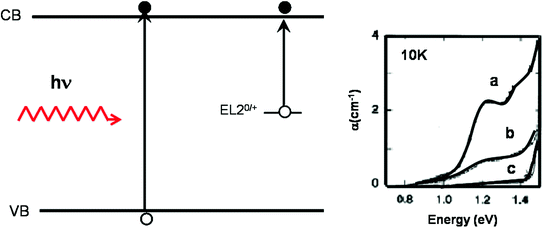 Squeed 1.12.6 Download Free