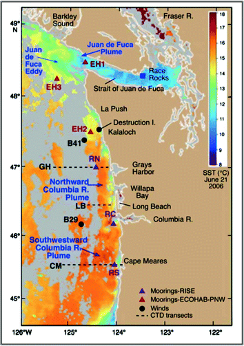 Magnell Driver Download For Windows 10