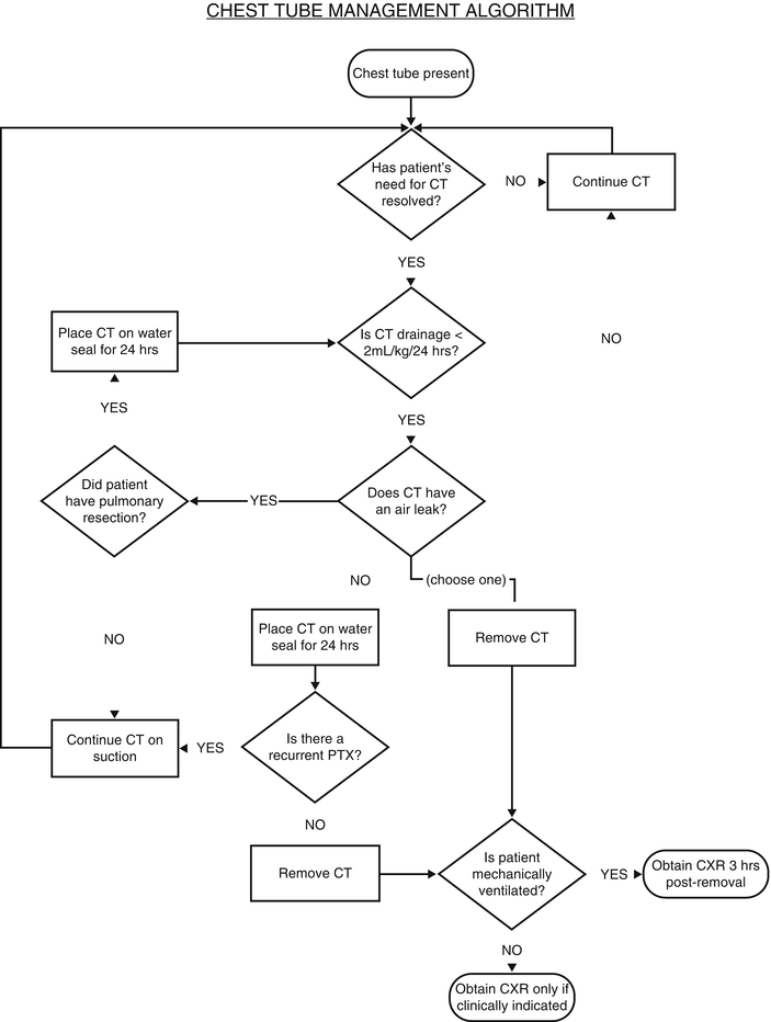 Pneumothorax, Hemothorax, and Empyema SpringerLink