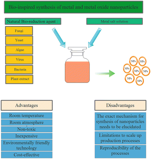 Microbial Enzymes Current Features And Potential Applications In Nanobiotechnology Springerlink