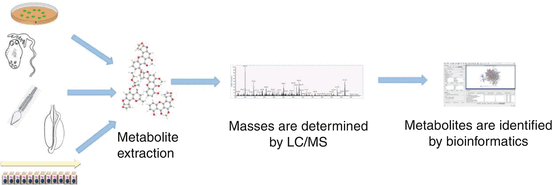 A Systems Biology Roach To Dairy Cattle Subfertility And