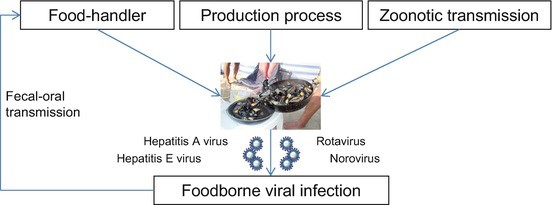 Genomics And Foodborne Viral Infections Springerlink
