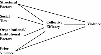 differential social organization theory