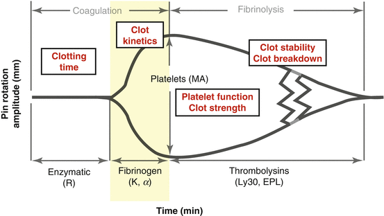 Coagulation Monitoring Springerlink