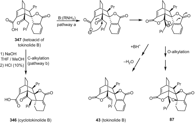 Phthalides Distribution In Nature Chemical Reactivity Synthesis And Biological Activity Springerlink