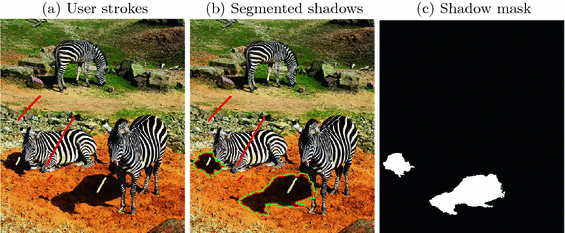 with Noisily-Annotated Shadow Examples