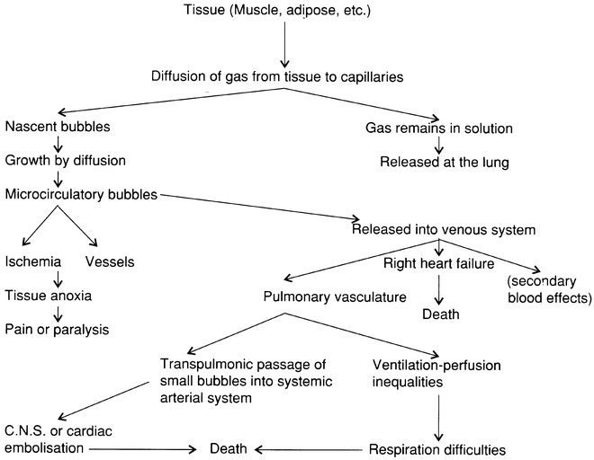 Sickness SpringerLink