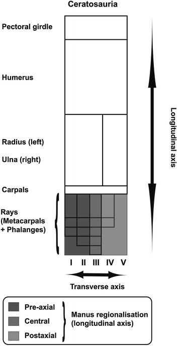Once Links Internal Factors Epigenetics Matsuda Waddington Goldschmidt And Macroevolution Springerlink Once Links Internal Factors Epigenetics Matsuda Waddington Goldschmidt And Macroevolution Springerlink