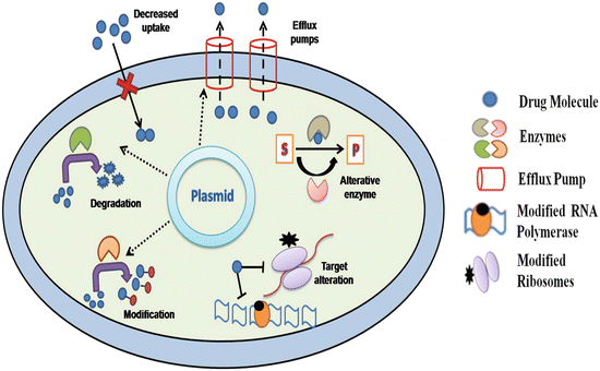 How Pathogens Survive Drug Pressure Springerlink