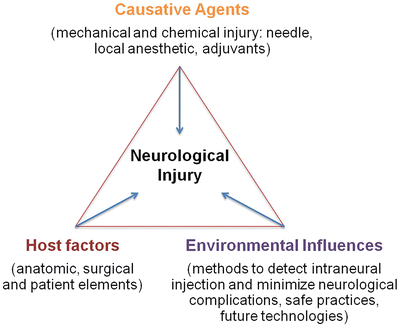 Nerve Injury Resulting from Intraneural Injection When Performing ...