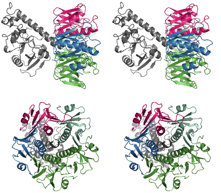 Structure Of Shiga Toxins And Other Ab5 Toxins Springerlink