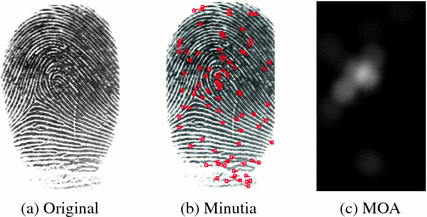 Altered Fingerprint Detection Springerlink