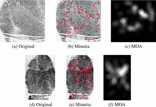 Altered Fingerprint Detection Springerlink