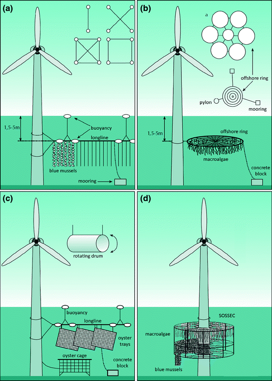 The German Case Study: Pioneer Projects of Aquaculture-Wind Farm ...