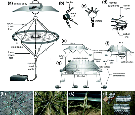 The German Case Study Pioneer Projects Of Aquaculture Wind Farm