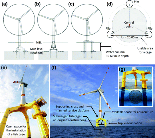 The German Case Study: Pioneer Projects of Aquaculture-Wind Farm ...