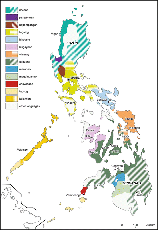 The Diversity of the Philippine Population  SpringerLink