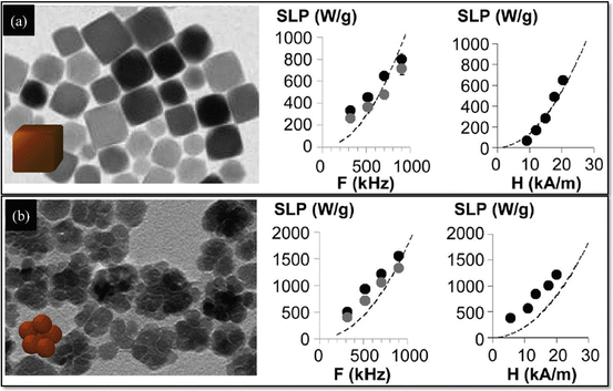 Magnetic Nanoparticle Based Hyperthermia For Cancer Treatment Factors Affecting Heat Generation Efficiency Springerlink