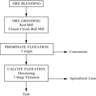 Phosphorus And Phosphates Springerlink