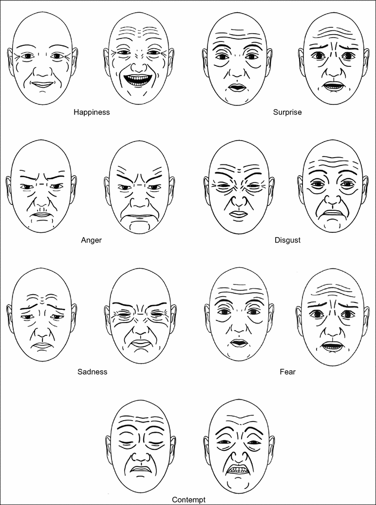 Facial Expressions Springerlink