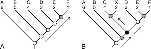 the making of paleontological time springerlink lamarck vs darwin venn diagram