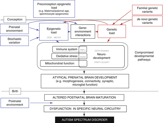 Study Links Autism To Epigenetic >> Epigenetics Of Autism Spectrum Disorder Springerlink Study Links Autism To Epigenetic >> Epigenetics Of Autism Spectrum Disorder Springerlink