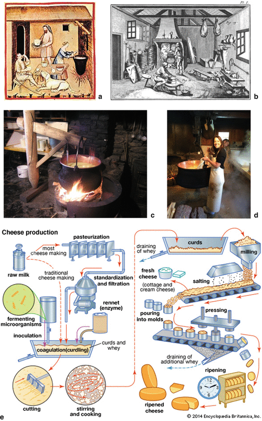 Concept Of Microbiological Processes Springerlink