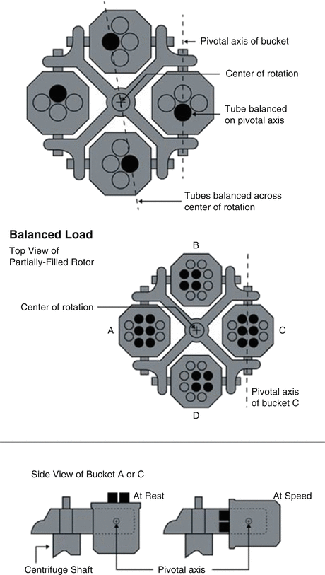 Downstream Processing Springerlink