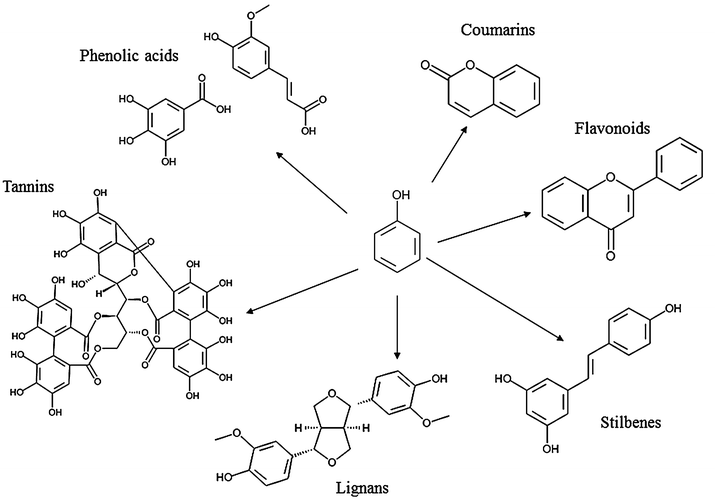 Bound Phenolics in Foods SpringerLink