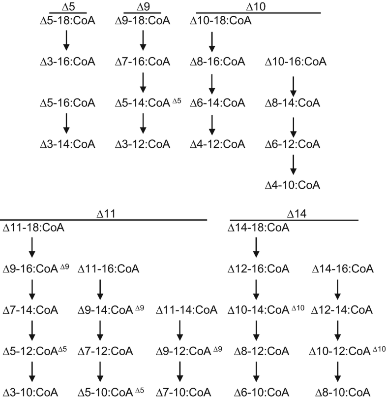 Cuticular Hydrocarbons And Pheromones Of Arthropods Springerlink Cuticular Hydrocarbons And Pheromones Of Arthropods Springerlink
