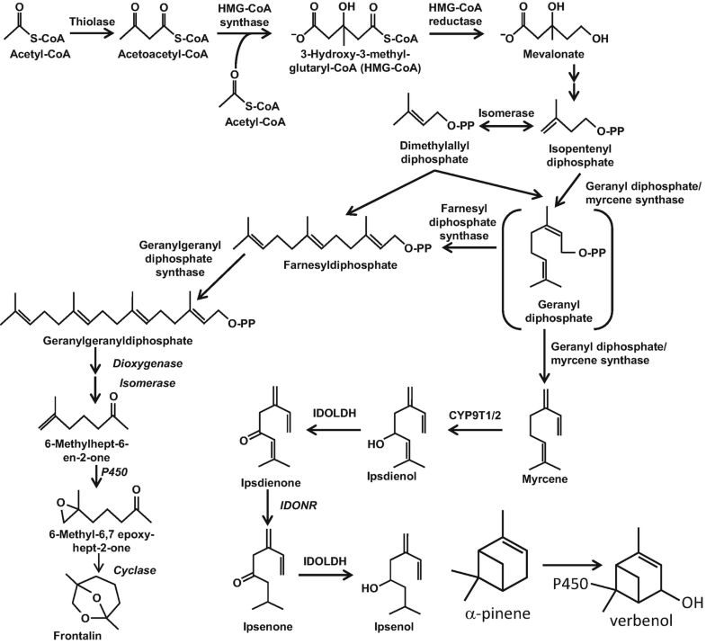 Cuticular Hydrocarbons And Pheromones Of Arthropods Springerlink Cuticular Hydrocarbons And Pheromones Of Arthropods Springerlink