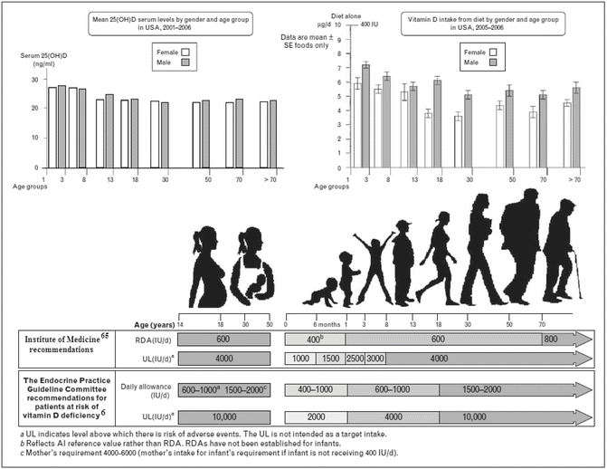 Ultraviolet B Radiation The Vitamin D Connection Springerlink