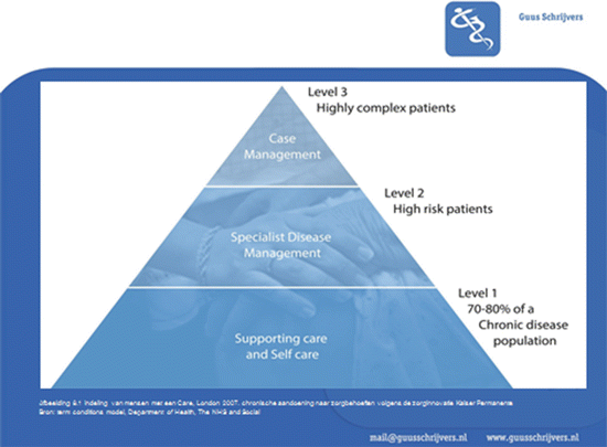 Case Managers And Integrated Care Springerlink - 