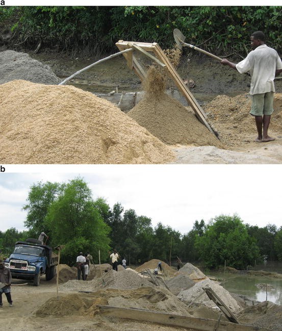 Impact Of Urbanization On The Evolution Mangrove Ecosystems In Mangrove Ecosystems