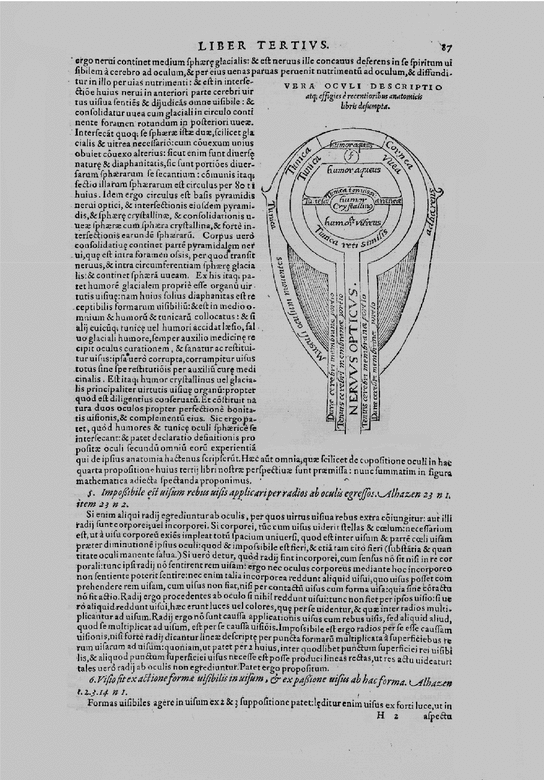 extract physicus music extract physicus music