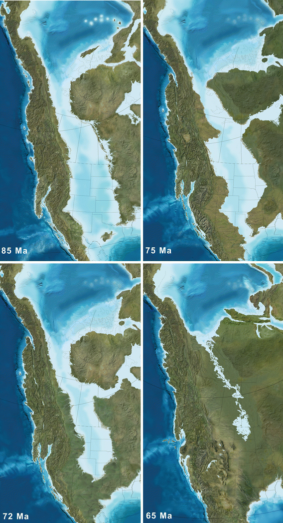 The Continental Arc Sevier Orogeny Western Interior Seaway