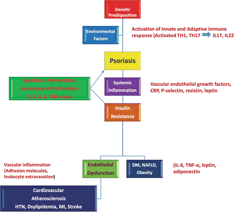 psoriasis pathophysiology