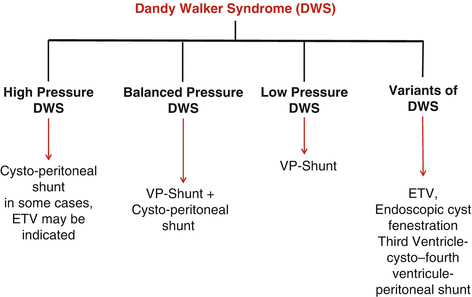 Dandy-Walker Syndrome: A Challenging Problem | SpringerLink