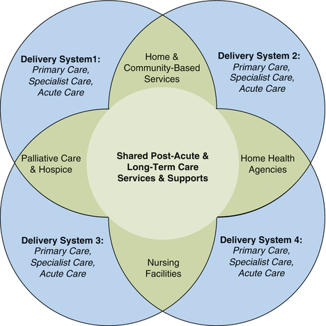 Friedman Home Care Agency Fairfield Ct