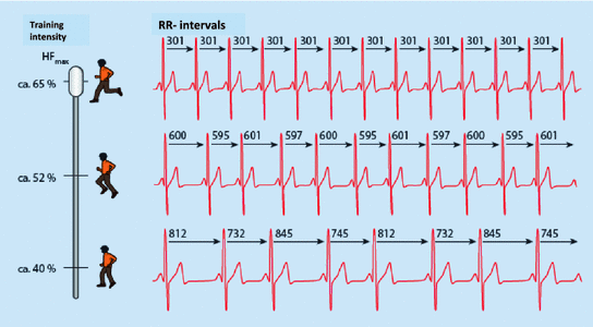 The Working People And Their Energy Springerlink