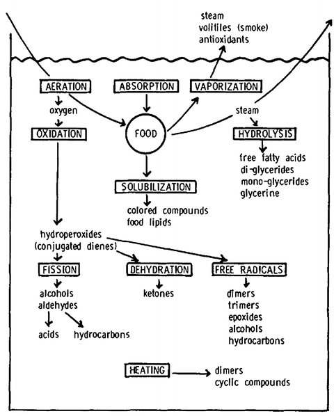 Lipids Springerlink