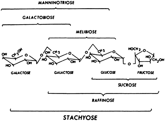 Carbohydrates Springerlink