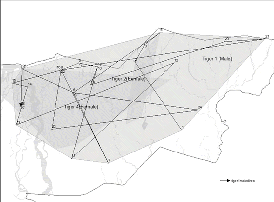 Coupling Field Sampling With Earth Observation Increases Understanding Of Tiger Movement And Behaviour Springerlink