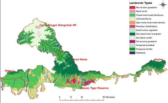 Coupling Field Sampling With Earth Observation Increases Understanding Of Tiger Movement And Behaviour Springerlink