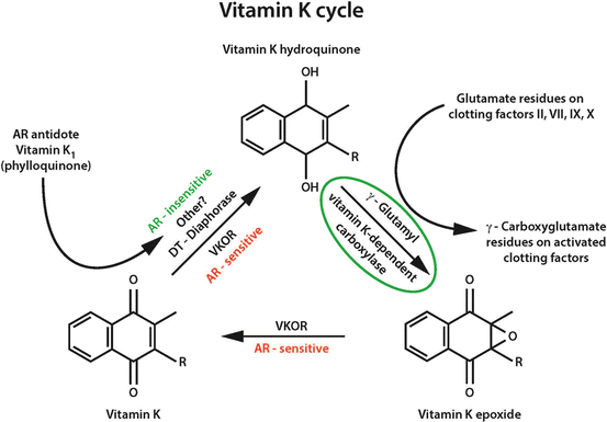 Anticoagulant Rodenticide Toxicity To Non Target Wildlife Under Controlled Exposure Conditions Springerlink