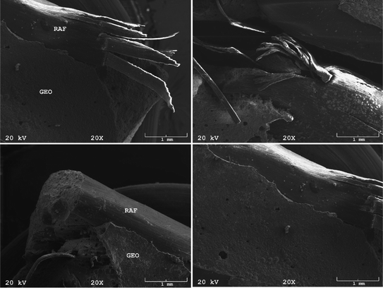 Mechanical Properties Of Raffia Fibres Reinforced Geopolymer