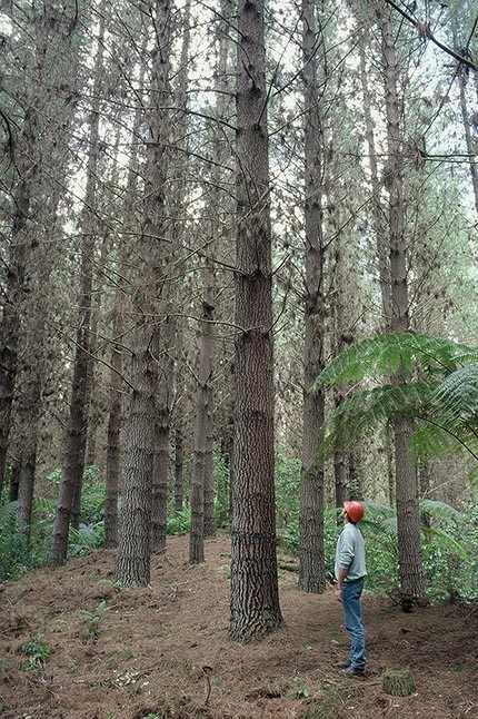 Towards More Precise Genetic Control 1984 1997 Springerlink