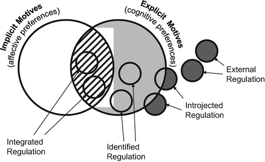 motivation and volition in the workplace springerlink